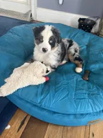 processed/d1e84a91-2b67-4440-b54d-21ed270c43cc/listing/d6735f30-1e62-45b0-a3e5-a14c8ba2b4ff/18fb4b98-d07f-4c27-9fa7-e16ef8d059ca