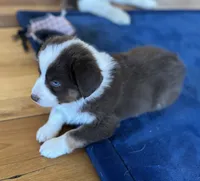 processed/d1e84a91-2b67-4440-b54d-21ed270c43cc/listing/fddbc09f-9f7e-4ff8-bdfc-99db00881874/01211aea-88dc-40dc-aabf-b18904b418ef