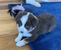 processed/d1e84a91-2b67-4440-b54d-21ed270c43cc/listing/fddbc09f-9f7e-4ff8-bdfc-99db00881874/fa4f1bec-2f46-4353-bbbf-a2527941b7f8