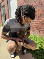 Grizzly, a male French Bulldog for sale in Phoenix, AZ – Photo 4 of 6