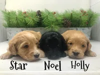 processed/d1f8b9fd-0483-475b-9c79-e169261013d6/facility/f40c92fd-cfe4-4de4-b841-7493b346171f