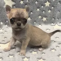 processed/d1fad43d-09ea-4051-93b6-4bf6a5e76b9d/facility/129fea29-5727-4139-933b-8d7bfa01fbae