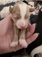 processed/d1fe4eb4-dea1-4ea3-a059-8632a2d779b6/listing/47bdf7cc-be13-4d9f-9146-4c3a1fb103b5/010e2db6-f1b3-4f8b-b654-849d0aaad09a