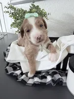 processed/d1fe4eb4-dea1-4ea3-a059-8632a2d779b6/listing/47bdf7cc-be13-4d9f-9146-4c3a1fb103b5/95111c1a-c46f-43ae-b3b4-78aee908bf4b