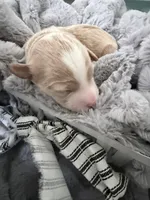 processed/d1fe4eb4-dea1-4ea3-a059-8632a2d779b6/listing/47bdf7cc-be13-4d9f-9146-4c3a1fb103b5/f270873c-bacf-4f6d-8aa1-258e6fc99a16