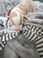 processed/d1fe4eb4-dea1-4ea3-a059-8632a2d779b6/listing/7887b3a5-8c1e-4949-8f8b-4c1571c6d342/0c86d160-4901-4ae3-bec2-39d695063ee1