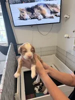 processed/d1fe4eb4-dea1-4ea3-a059-8632a2d779b6/listing/7887b3a5-8c1e-4949-8f8b-4c1571c6d342/fac22f63-9eb2-429e-a4d5-c85799c4b45e