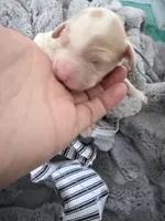 processed/d1fe4eb4-dea1-4ea3-a059-8632a2d779b6/listing/a7177e9c-642e-4a9e-933e-05e5e3cb4f86/2e0f1021-a8cb-4c95-ba33-cdcbc2941b4c