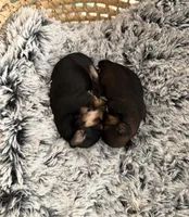 processed/d208287b-8adb-4dff-b1db-e309506469a8/listing/29ccbb9a-1eab-427e-b9b7-b959ec485e68/3b31aeb6-a3f4-4509-b9d3-1136e99e704f