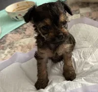 processed/d208287b-8adb-4dff-b1db-e309506469a8/listing/29ccbb9a-1eab-427e-b9b7-b959ec485e68/a2c1c1c8-33f5-4590-adf2-a98ba23ab986