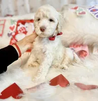 processed/d208287b-8adb-4dff-b1db-e309506469a8/listing/95e6b476-c1a1-4444-9a87-a1eafb07f1d1/7dc6e1fa-85f3-4761-ba31-ff02c328b4bb