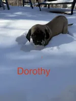 processed/d21113e2-4e63-452a-b08a-b5077e9095c4/listing/b370692b-8d92-47c2-ab41-5b33fd9aca76/86138bf9-9684-487f-8714-713ce5c2c9e0