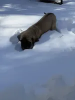 processed/d21113e2-4e63-452a-b08a-b5077e9095c4/listing/b370692b-8d92-47c2-ab41-5b33fd9aca76/a1e498b7-33c9-412a-ab5e-5f8e1762d379