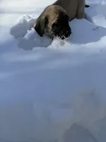 processed/d21113e2-4e63-452a-b08a-b5077e9095c4/listing/b370692b-8d92-47c2-ab41-5b33fd9aca76/acc1e932-f702-4139-b766-3b50b96d00c0