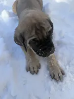 processed/d21113e2-4e63-452a-b08a-b5077e9095c4/listing/fbea34f4-11e5-4018-8b04-fa9b7558dc5c/0e0e9175-46d2-41ee-bf2b-4a1f1b90b774