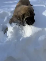 processed/d21113e2-4e63-452a-b08a-b5077e9095c4/listing/fbea34f4-11e5-4018-8b04-fa9b7558dc5c/2d495251-3098-4eeb-85b1-d98d922a5072