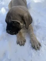 processed/d21113e2-4e63-452a-b08a-b5077e9095c4/listing/fbea34f4-11e5-4018-8b04-fa9b7558dc5c/8995a536-d4de-4abf-ae6c-3f0c906a957d