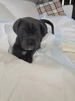 processed/d21556f9-dfae-437e-83c9-f7ff2cfb6211/listing/46d096d7-092a-453b-b4ef-ca4396192bdb/51d3f70b-14ce-420d-8ddf-7355d2026efb