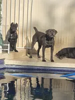 processed/d21556f9-dfae-437e-83c9-f7ff2cfb6211/listing/46d096d7-092a-453b-b4ef-ca4396192bdb/55fc29c7-cb99-4541-a59e-95f1cd62763f