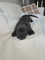 processed/d21556f9-dfae-437e-83c9-f7ff2cfb6211/listing/46d096d7-092a-453b-b4ef-ca4396192bdb/571a0192-1f76-4ef7-bc22-4e666e1c9e12