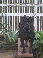 processed/d21556f9-dfae-437e-83c9-f7ff2cfb6211/listing/46d096d7-092a-453b-b4ef-ca4396192bdb/92168598-ff95-416d-bba8-13afca391679