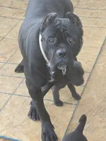 processed/d21556f9-dfae-437e-83c9-f7ff2cfb6211/listing/46d096d7-092a-453b-b4ef-ca4396192bdb/a4578e72-d9f1-4833-a130-9d8a658f0342