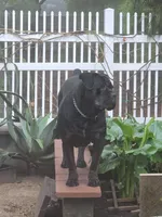 processed/d21556f9-dfae-437e-83c9-f7ff2cfb6211/listing/46d096d7-092a-453b-b4ef-ca4396192bdb/bb6c01e3-1a42-40ef-b7ea-46cb82b505a5