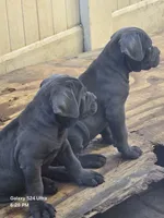 processed/d21556f9-dfae-437e-83c9-f7ff2cfb6211/listing/b25d32f5-e9f5-42f6-a307-8e6d137287a8/0be6a701-a596-43f4-aebe-c1a783ffbb53