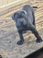 processed/d21556f9-dfae-437e-83c9-f7ff2cfb6211/listing/b25d32f5-e9f5-42f6-a307-8e6d137287a8/68634860-9b84-4f44-9c7b-9c4a2f5963f1