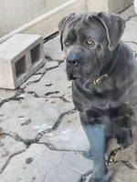 processed/d21556f9-dfae-437e-83c9-f7ff2cfb6211/listing/b25d32f5-e9f5-42f6-a307-8e6d137287a8/a7c9dd89-072c-4b6c-92f2-a2efc52a2780