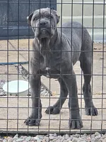 processed/d21556f9-dfae-437e-83c9-f7ff2cfb6211/listing/b25d32f5-e9f5-42f6-a307-8e6d137287a8/c93e737d-3c40-43bc-88ef-6ac2a560a019