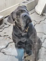 processed/d21556f9-dfae-437e-83c9-f7ff2cfb6211/listing/b25d32f5-e9f5-42f6-a307-8e6d137287a8/ec76317e-6ed4-4a99-936b-03331467b1b0