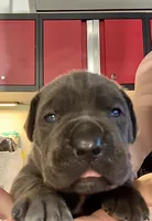 processed/d21556f9-dfae-437e-83c9-f7ff2cfb6211/listing/f65f7488-bef8-44bd-82de-6f2b06446b5e/5197bba6-61ad-4baf-8a8a-9e7e60a84860