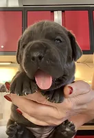 processed/d21556f9-dfae-437e-83c9-f7ff2cfb6211/listing/f65f7488-bef8-44bd-82de-6f2b06446b5e/74113f51-b765-484d-a57f-777c168dc0f6