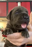 processed/d21556f9-dfae-437e-83c9-f7ff2cfb6211/listing/f65f7488-bef8-44bd-82de-6f2b06446b5e/82d9b1ab-7cd3-4ee7-9cb2-cf04157a63ce