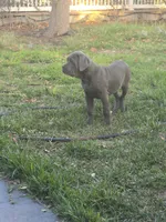 processed/d21556f9-dfae-437e-83c9-f7ff2cfb6211/listing/f65f7488-bef8-44bd-82de-6f2b06446b5e/95617256-7534-4de4-bbd6-6536d1a5595a