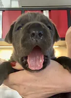 processed/d21556f9-dfae-437e-83c9-f7ff2cfb6211/listing/f65f7488-bef8-44bd-82de-6f2b06446b5e/9d08cf11-c98c-476a-b62b-97db65d335e9