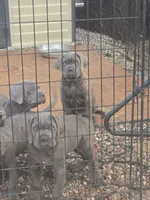 processed/d21556f9-dfae-437e-83c9-f7ff2cfb6211/listing/f65f7488-bef8-44bd-82de-6f2b06446b5e/a794f276-fad3-4df9-84a5-fdec1379d0a0