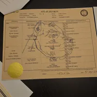 Blue, a female Cane Corso for sale in Porter Ranch, CA – Photo 10 of 10