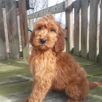 processed/d218f754-327e-4513-b5ba-b463fec7484a/facility/04ff2710-5c71-4424-89f6-7f7703aebd9b