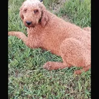 processed/d218f754-327e-4513-b5ba-b463fec7484a/facility/2430e9a3-d525-4c7d-bd01-d4d661f5ced3