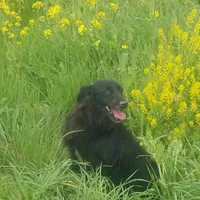 processed/d218f754-327e-4513-b5ba-b463fec7484a/facility/476f08db-bd1a-4373-b840-945cb22e5a46