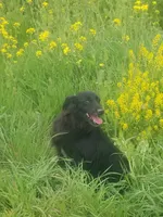 processed/d218f754-327e-4513-b5ba-b463fec7484a/facility/476f08db-bd1a-4373-b840-945cb22e5a46