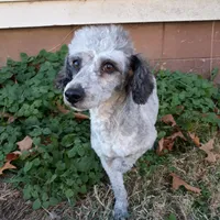 processed/d218f754-327e-4513-b5ba-b463fec7484a/facility/8152946f-59c6-4026-b31e-f16d2b6229f2