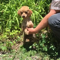 processed/d218f754-327e-4513-b5ba-b463fec7484a/facility/8b1dc9bf-ecc1-43e5-a7b3-9b5f6497a507