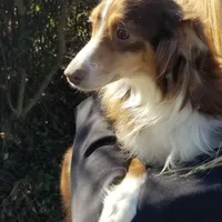 processed/d218f754-327e-4513-b5ba-b463fec7484a/facility/8b9a4544-beda-4720-8ac7-0931617ee229