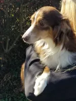 processed/d218f754-327e-4513-b5ba-b463fec7484a/facility/8b9a4544-beda-4720-8ac7-0931617ee229