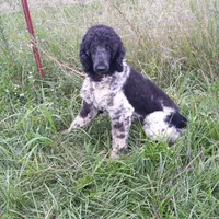 processed/d218f754-327e-4513-b5ba-b463fec7484a/facility/b94cdbd7-8963-4875-8cb5-047a9c38164e