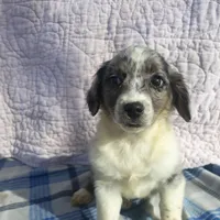 processed/d218f754-327e-4513-b5ba-b463fec7484a/facility/f0601eb5-4823-454a-ae77-945e97ba05da