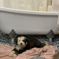 processed/d21ac227-b1aa-44d5-9a16-6ec565855b4d/facility/3b12aaf4-38f2-44b5-80ef-13c7be784f57